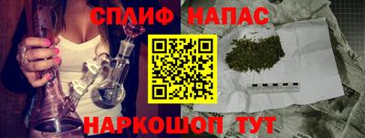 прущие крисы Ставрополь