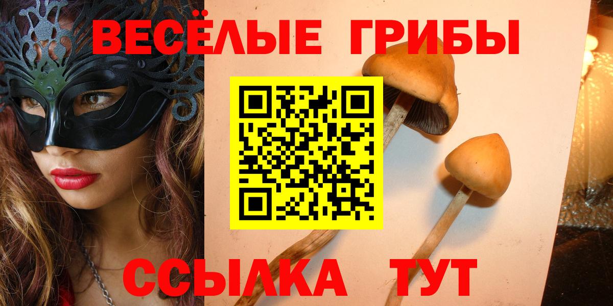 Псилоцибиновые грибы Cubensis  Вход с VPN  Орск 